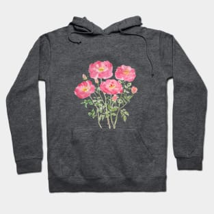 pink rose watercolor Hoodie